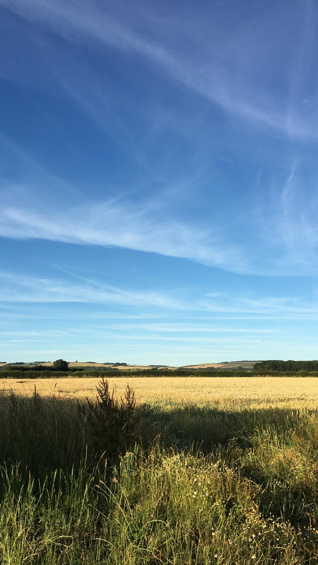 Blue skies over fields